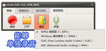錄屏小將 ocam 全能錄屏、截圖與錄音的得力助手